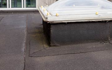 disadvantages of Berriew flat roofs